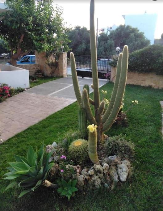 Antonia Appartement Plakias Buitenkant foto